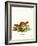 Siberian Weasel-null-Framed Giclee Print