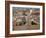 Sibiu from the Evangelical Cathedral, Sibiu, Transylvania, Romania, Europe-Gary Cook-Framed Photographic Print