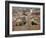 Sibiu from the Evangelical Cathedral, Sibiu, Transylvania, Romania, Europe-Gary Cook-Framed Photographic Print