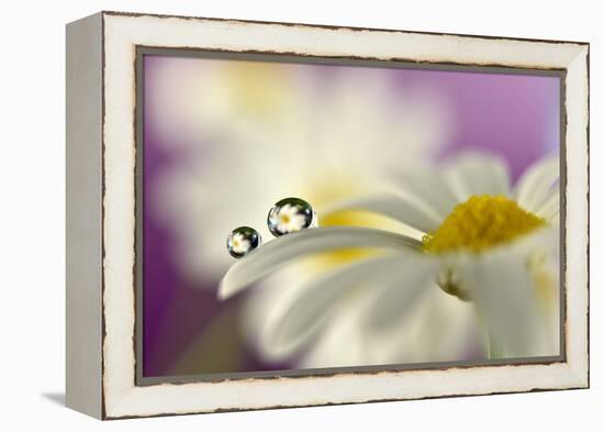 Siblings Drops-Heidi Westum-Framed Premier Image Canvas