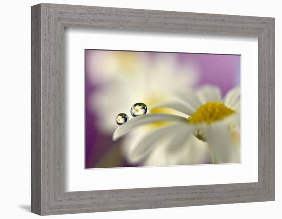 Siblings Drops-Heidi Westum-Framed Photographic Print