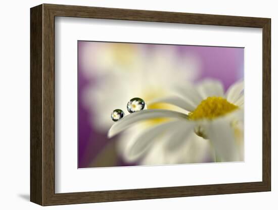 Siblings Drops-Heidi Westum-Framed Photographic Print