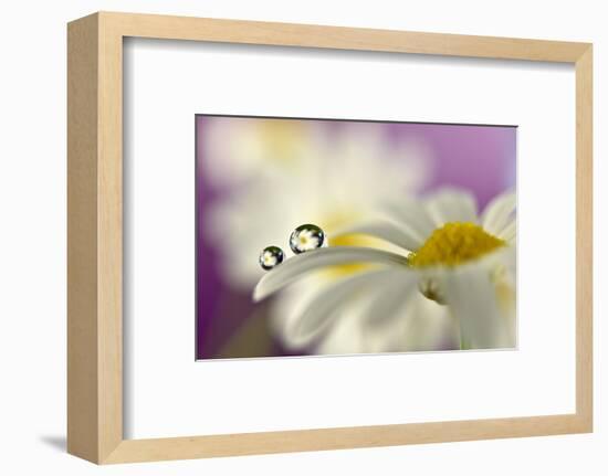 Siblings Drops-Heidi Westum-Framed Photographic Print