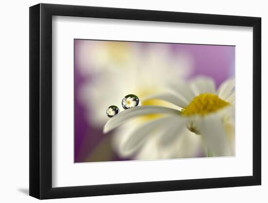 Siblings Drops-Heidi Westum-Framed Photographic Print