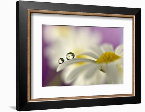 Siblings Drops-Heidi Westum-Framed Photographic Print