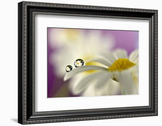 Siblings Drops-Heidi Westum-Framed Photographic Print