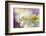 Siblings Drops-Heidi Westum-Framed Photographic Print