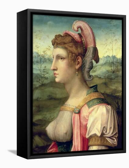 Sibyl-Francesco Ubertini Verdi Bachiacca-Framed Premier Image Canvas