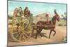 Sicilian Cart, Palermo, Italy-null-Mounted Art Print