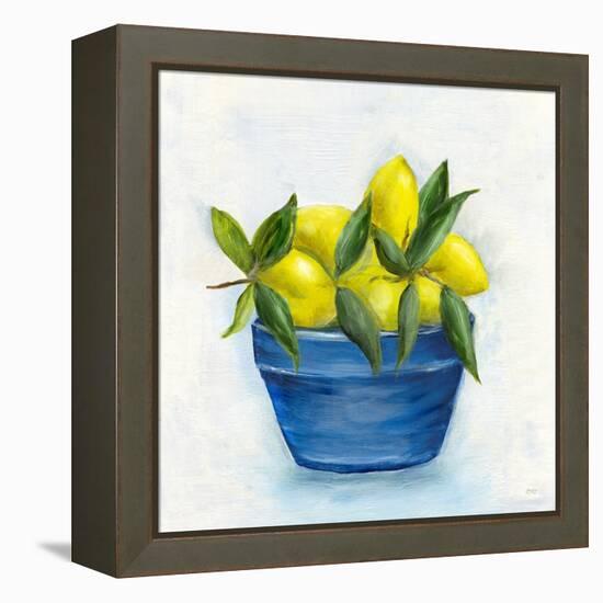 Sicilian Lemons II-Marilyn Dunlap-Framed Stretched Canvas