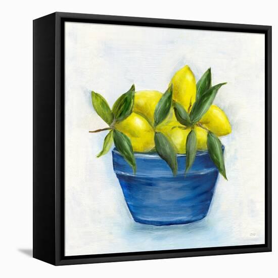 Sicilian Lemons II-Marilyn Dunlap-Framed Stretched Canvas