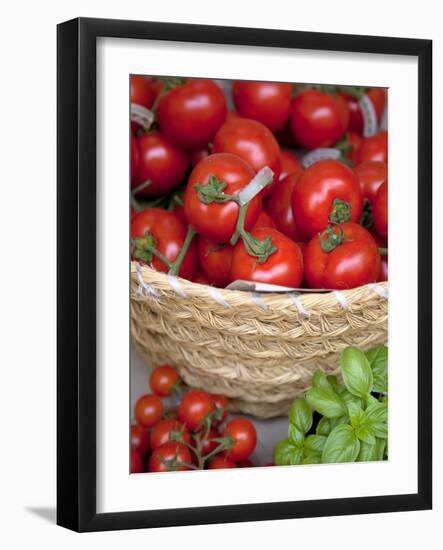 Sicily, Italy, Western Europe, Tomatoes and Basil, Staple Items in the Southern Italian Kitchen-Ken Scicluna-Framed Photographic Print