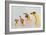 Sick Banana-Jacqueline Hammer-Framed Photographic Print