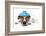 Sick Dog Fever Pain-Javier Brosch-Framed Photographic Print