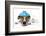 Sick Dog Fever Pain-Javier Brosch-Framed Photographic Print