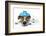 Sick Dog Fever Pain-Javier Brosch-Framed Photographic Print