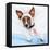 Sick Dog With Bandages Lying On Bed-Javier Brosch-Framed Premier Image Canvas