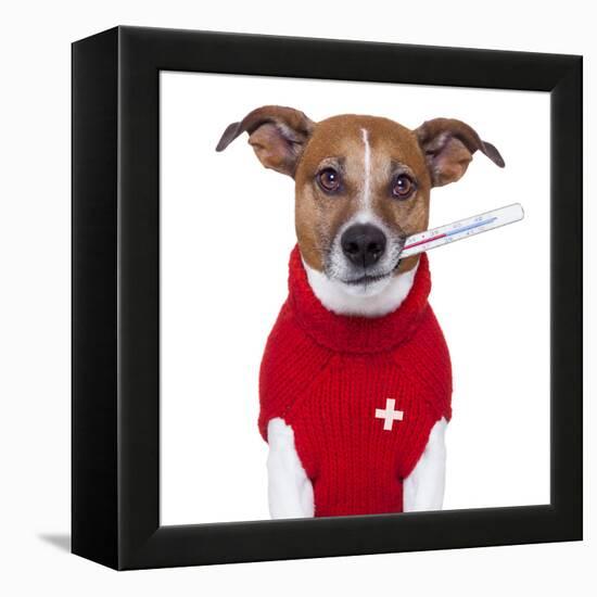 Sick Dog-Javier Brosch-Framed Premier Image Canvas