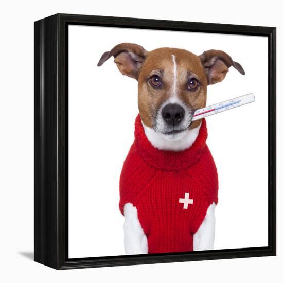Sick Dog-Javier Brosch-Framed Premier Image Canvas