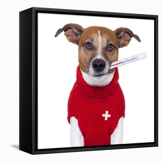 Sick Dog-Javier Brosch-Framed Premier Image Canvas