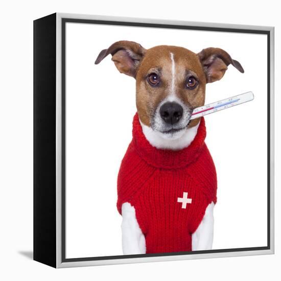 Sick Dog-Javier Brosch-Framed Premier Image Canvas