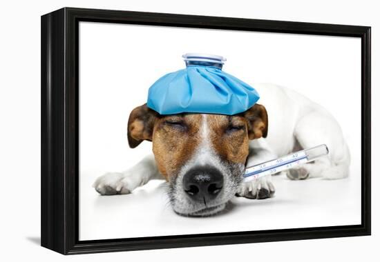 Sick Dog-Javier Brosch-Framed Premier Image Canvas