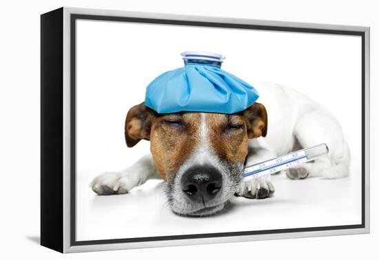 Sick Dog-Javier Brosch-Framed Premier Image Canvas