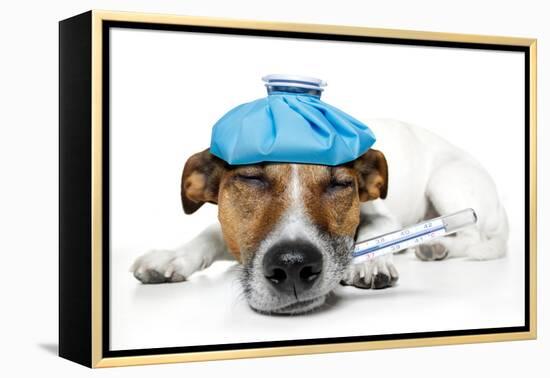 Sick Dog-Javier Brosch-Framed Premier Image Canvas