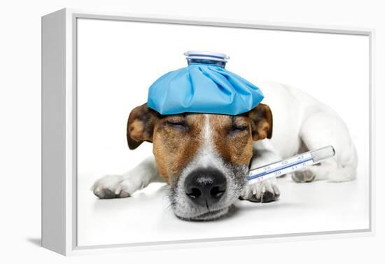 Sick Dog-Javier Brosch-Framed Premier Image Canvas