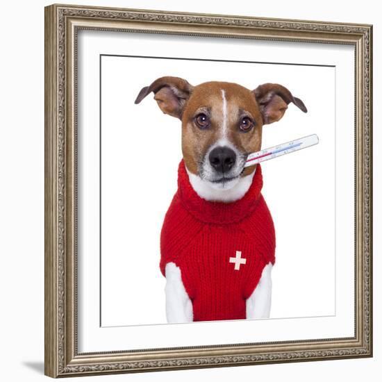 Sick Dog-Javier Brosch-Framed Photographic Print