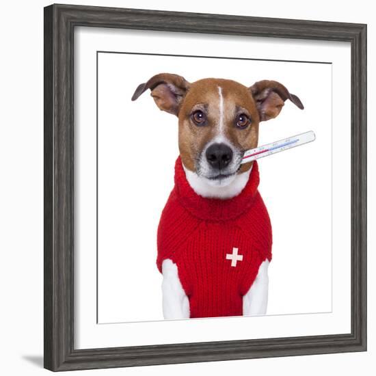 Sick Dog-Javier Brosch-Framed Photographic Print