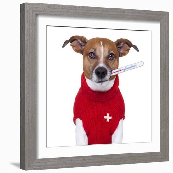 Sick Dog-Javier Brosch-Framed Photographic Print