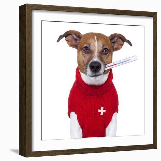 Sick Dog-Javier Brosch-Framed Photographic Print