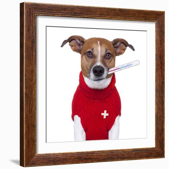 Sick Dog-Javier Brosch-Framed Photographic Print