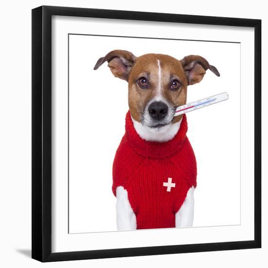 Sick Dog-Javier Brosch-Framed Photographic Print