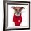 Sick Dog-Javier Brosch-Framed Photographic Print