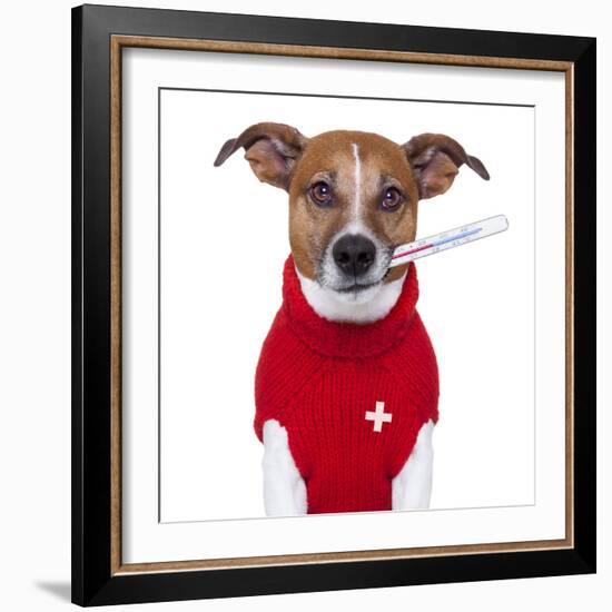 Sick Dog-Javier Brosch-Framed Photographic Print