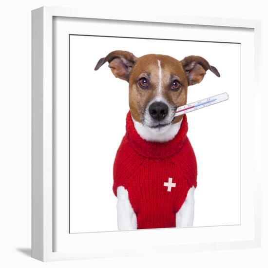 Sick Dog-Javier Brosch-Framed Photographic Print