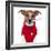 Sick Dog-Javier Brosch-Framed Photographic Print