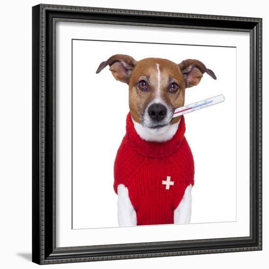 Sick Dog-Javier Brosch-Framed Photographic Print