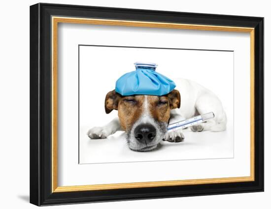 Sick Dog-Javier Brosch-Framed Photographic Print