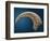 Sickle shaped talon of a Velociraptor-Walter Geiersperger-Framed Photographic Print