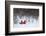 Side By Side-Philippe Sainte-Laudy-Framed Photographic Print