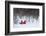 Side By Side-Philippe Sainte-Laudy-Framed Photographic Print