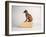 Side Eye-Susan Sabo-Framed Photographic Print