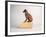 Side Eye-Susan Sabo-Framed Photographic Print