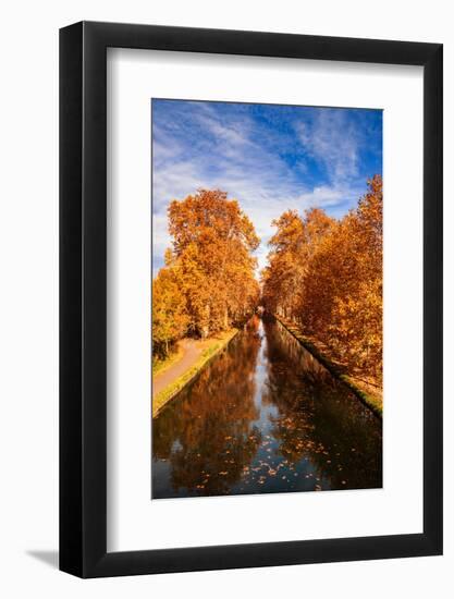 Side of the Road-Philippe Sainte-Laudy-Framed Photographic Print