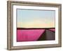 Side of the Road-Tracy Helgeson-Framed Art Print