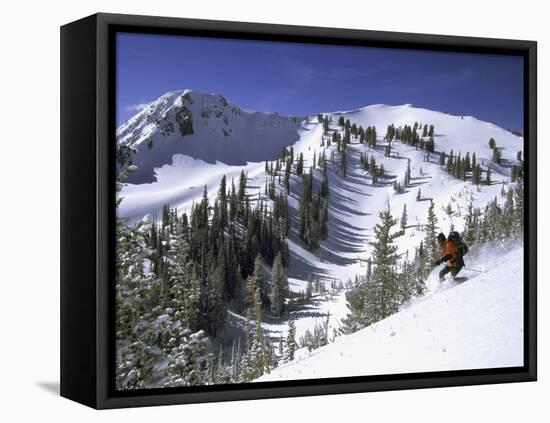 Side Profile of a Man Skiing-null-Framed Premier Image Canvas