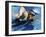 Side Profile of a Mid Adult Woman Swimming in a Swimming Pool-null-Framed Photographic Print